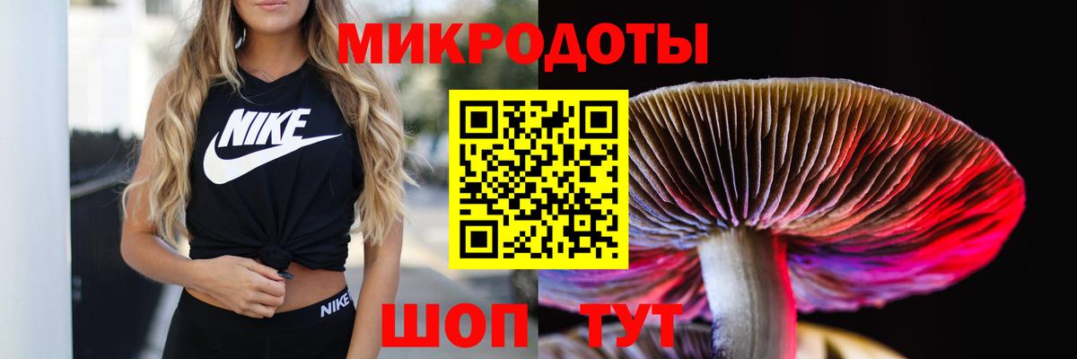 Галлюциногенные грибы прущие грибы Асбест